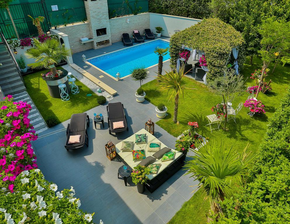 ***green Dream***- In Willa *